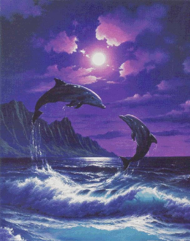 dolphinartpinksky2.jpg